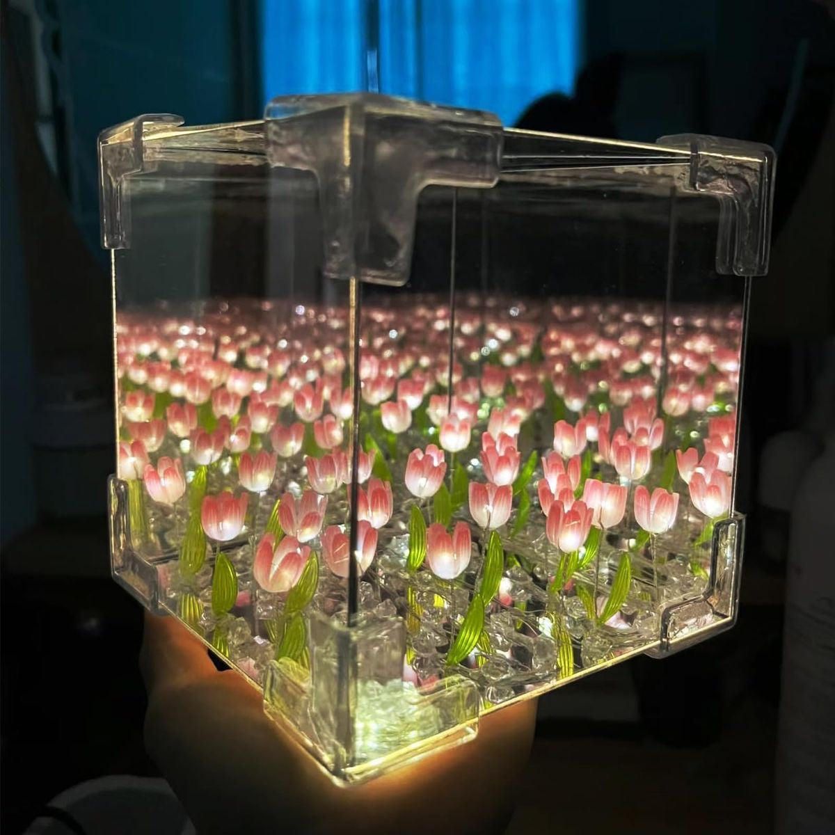 Tulip Cube Mirror Lamp✨